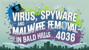 bald hills virus removal services