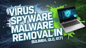 bulimba virus removal services