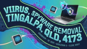 tingalpa virus removal services